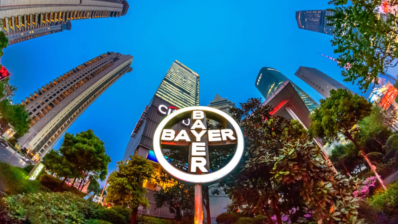 Bayer.webp