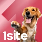1Site.NKO - Сайт некоммерческой организации, благотворительного фонда