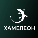 ХАМЕЛЕОН — 999 в 1. Безлимитный конструктор лендингов с корзиной