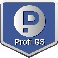 Profi.GS  – сайт компании по ремонту и строительству