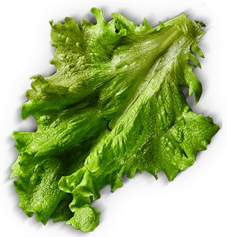 Салат