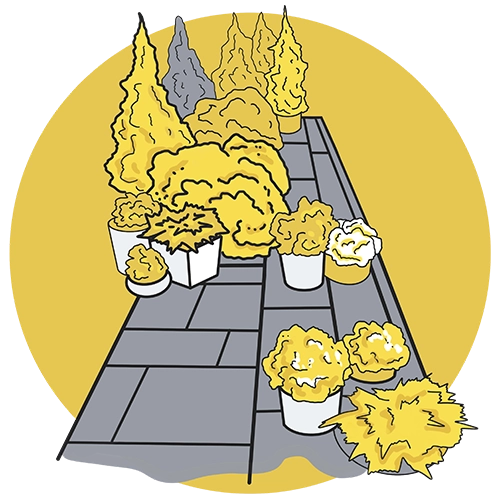 растения