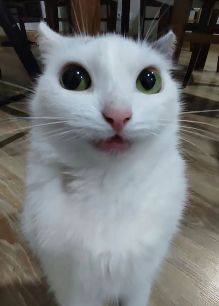 kat23u81f2ou6bc3bibpzav4rqvvfetv.jpg kat23u81f2ou6bc3bibpzav4rqvvfetv.jpg